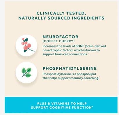 neuriva-plus-brain-performance-clinically-proven-brain-supporting-supplement-with-natural-ingredients.jpg